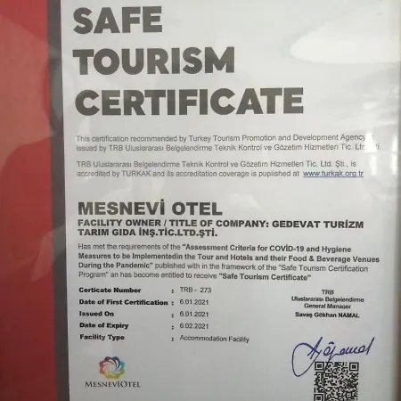 Mesnevi 2*